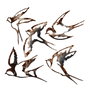 Wallity Birds-2 Escultura de Pared de Metal Multicolor